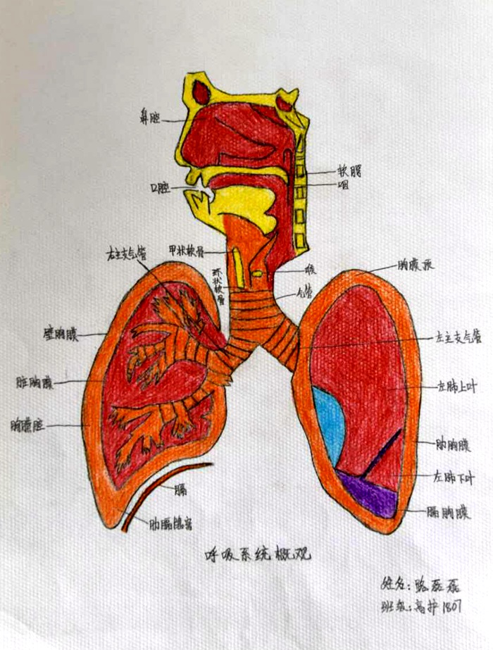 b398c861a075fde9a800f28abed2e4d - 副本.jpg